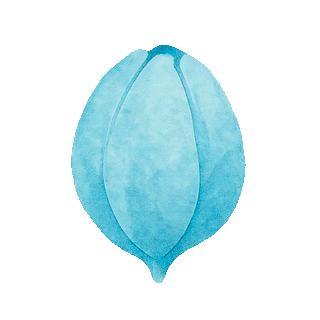 Espace Thérapies Chablais Charlotte Sommer